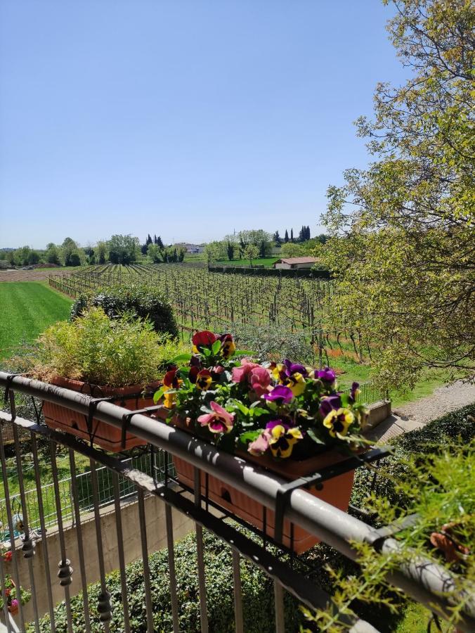 Agriturismo La Vigna Cola  Exterior photo